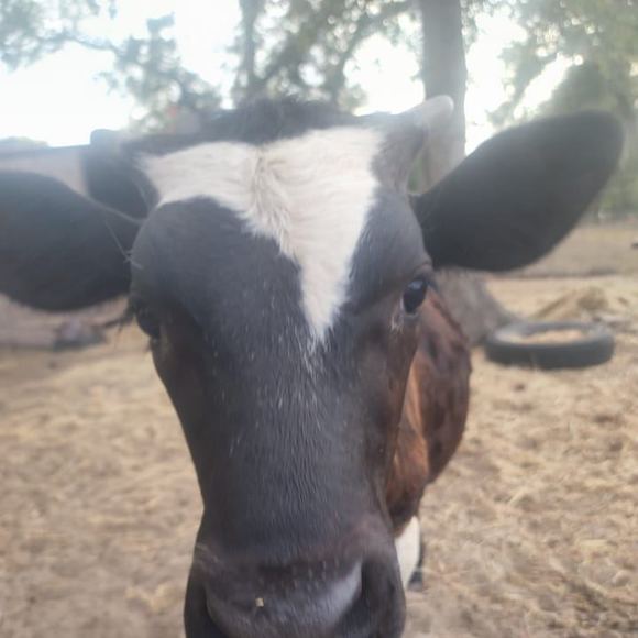 Meet your Posher, James - Picture 1 of 1